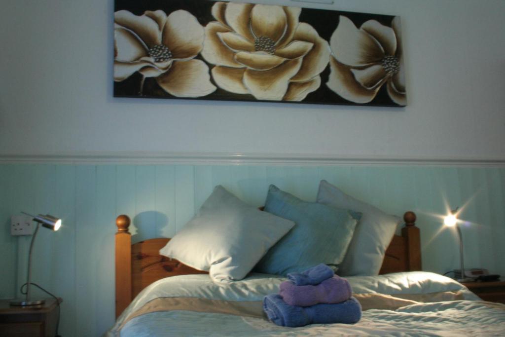 Devon View Guesthouse 斯旺西 客房 照片