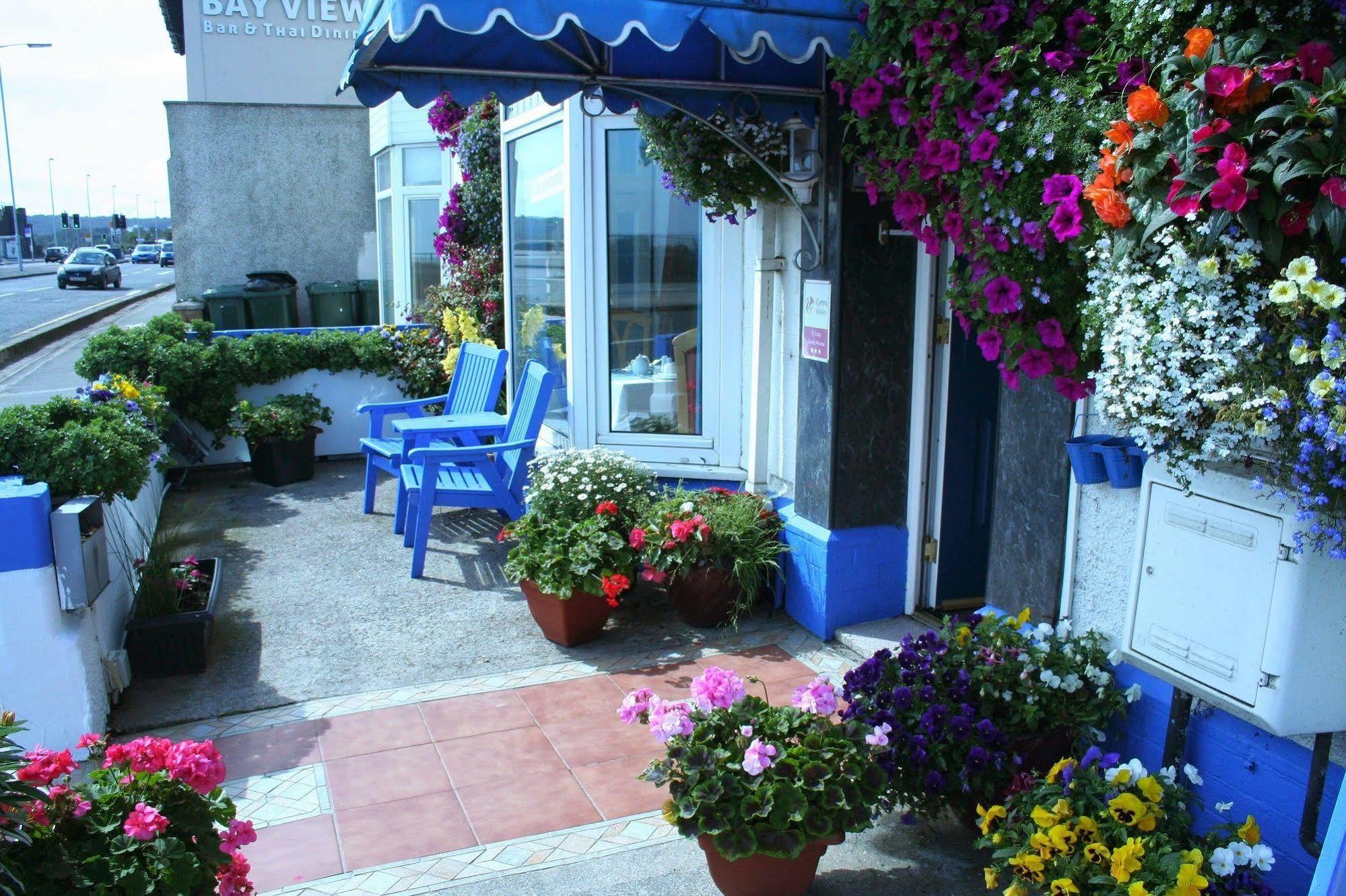 Devon View Guesthouse 斯旺西 外观 照片