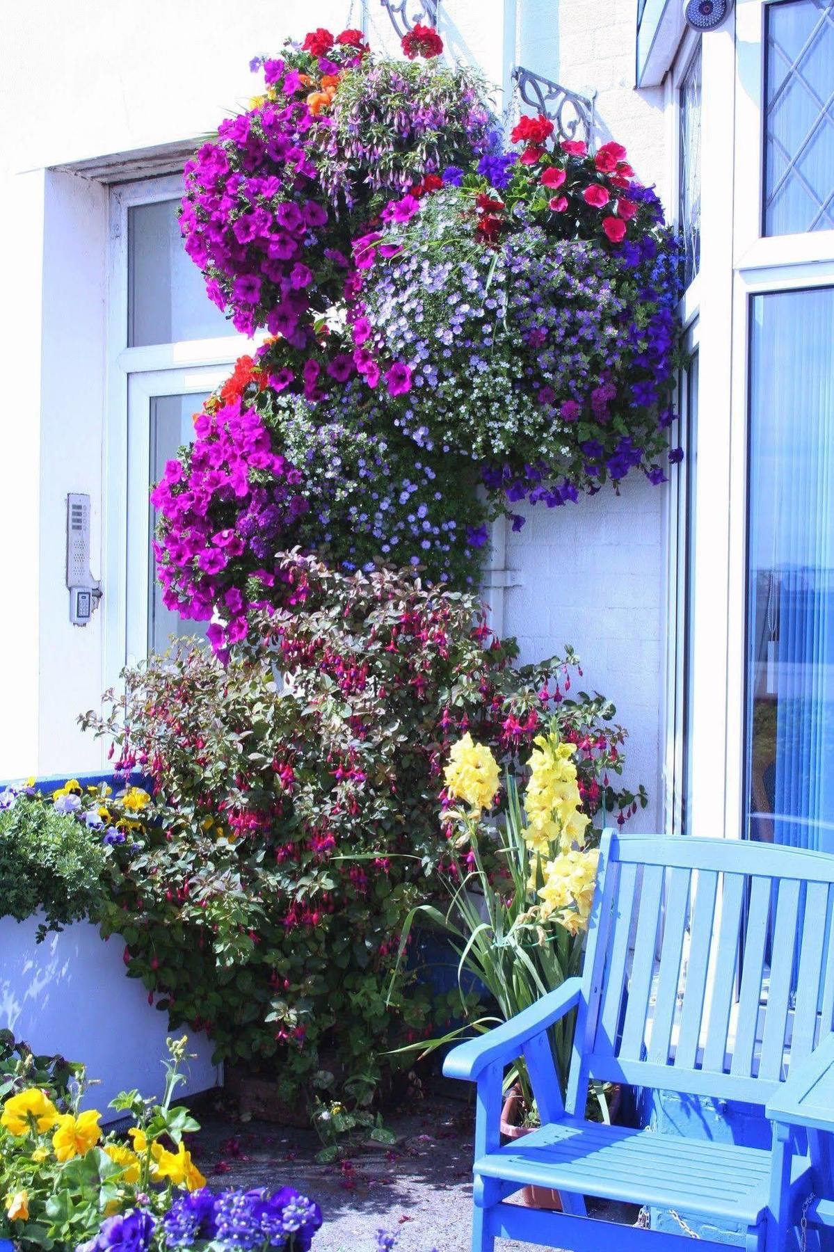 Devon View Guesthouse 斯旺西 外观 照片